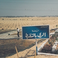 Entrusted with the creation and supervision project of the model Al-Katta agricultural penitentiary institution in Egypt (1989-1992)
